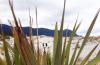 Hollyford 2