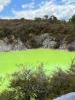 geothermal rotorua