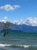 Windy Lake Wanaka