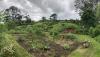 Hobbiton Hobbit Holes