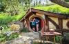 Hobbit hole