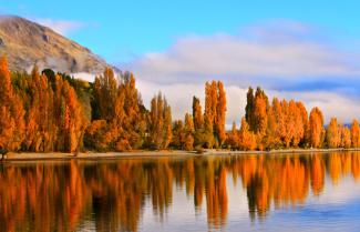 Lake Wanaka in autumn