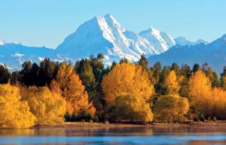 mt cook