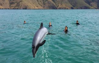 Akaroa