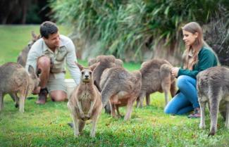 Australia Zoo