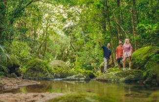 daintree