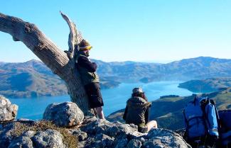 The Banks Peninsula Freedom Walk