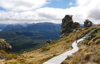 Freedom Walk, Hump Ridge Track