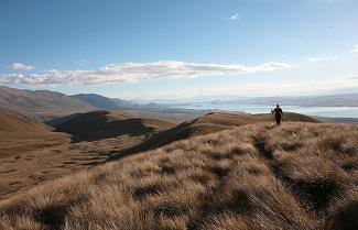 Tekapo High Country Track