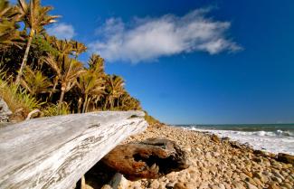 Heaphy Beach