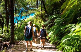 Guided Nature Hiking