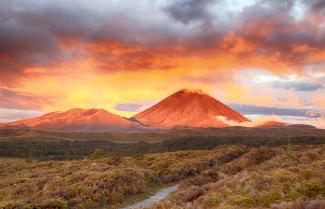 Central North Island