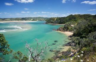 Tutukaka Coast