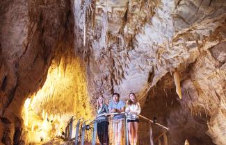 Waitomo Caves