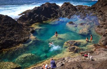 new zealand pool