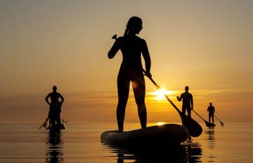 Morning Paddle Boarding Auckland