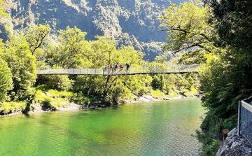 Swing bridge on the Milford Track