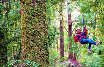 Rotorua Ziplining