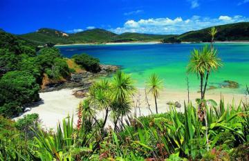 Matai Bay Northland