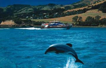 Akaroa Harbour Cruise