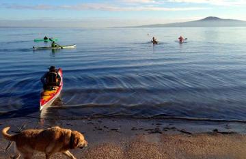 Kayaking in Auckland