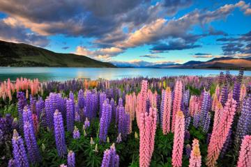 A taste of New Zealand seasons. 